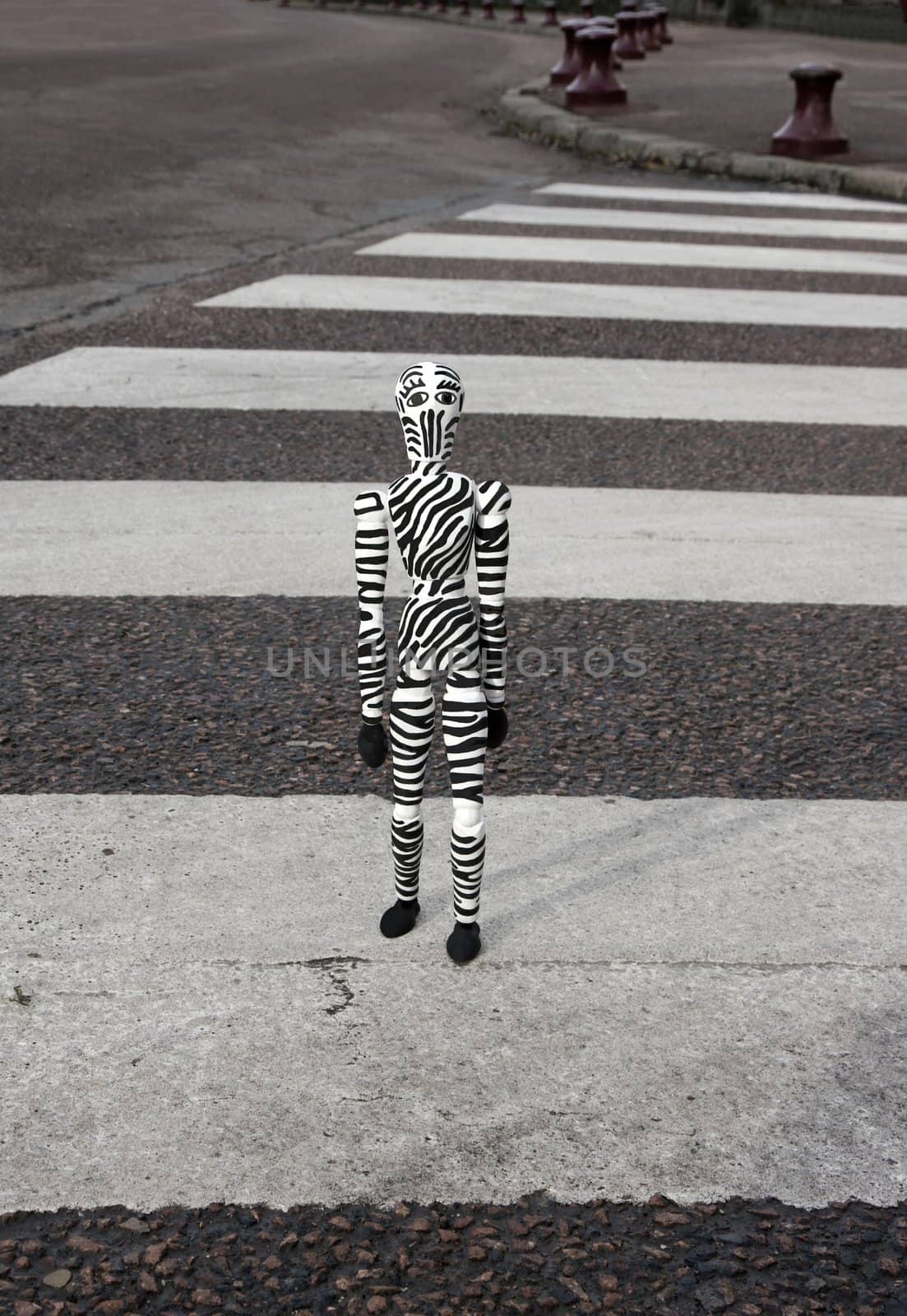 the zebra man on crosswalk by neko92vl
