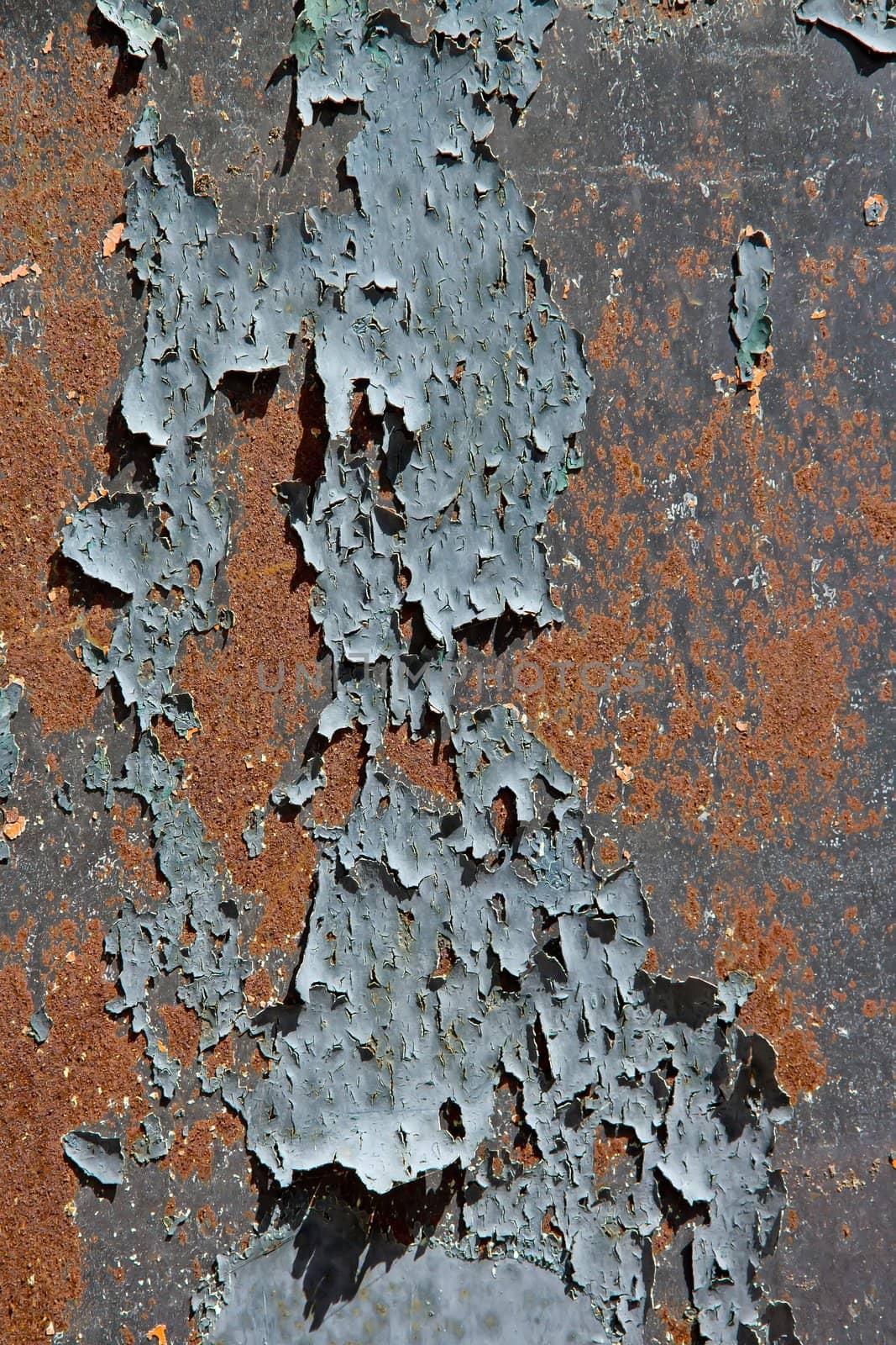 Paint scaled on rusty door