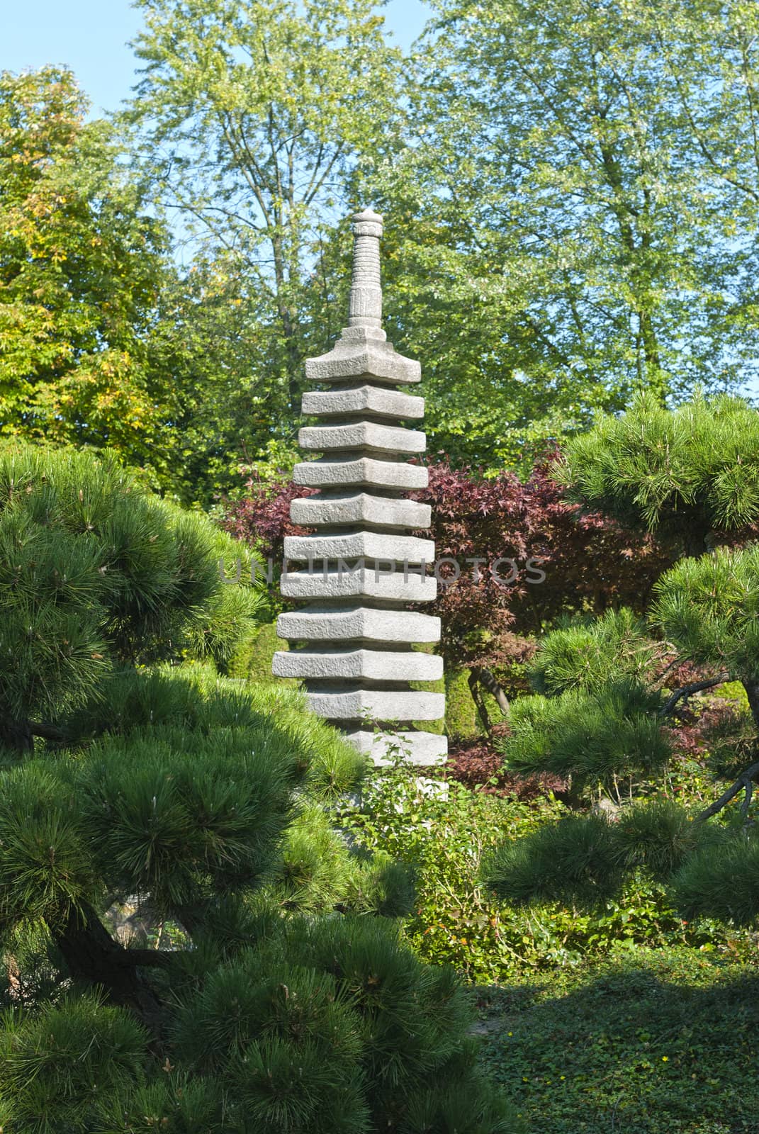 Green Japanese garden, blue sky, sunny day