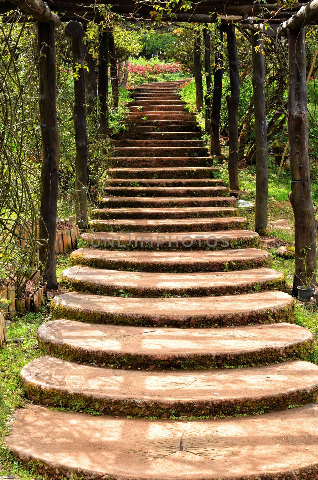 Stairway in garden,ang khang, chiangmai, thailand