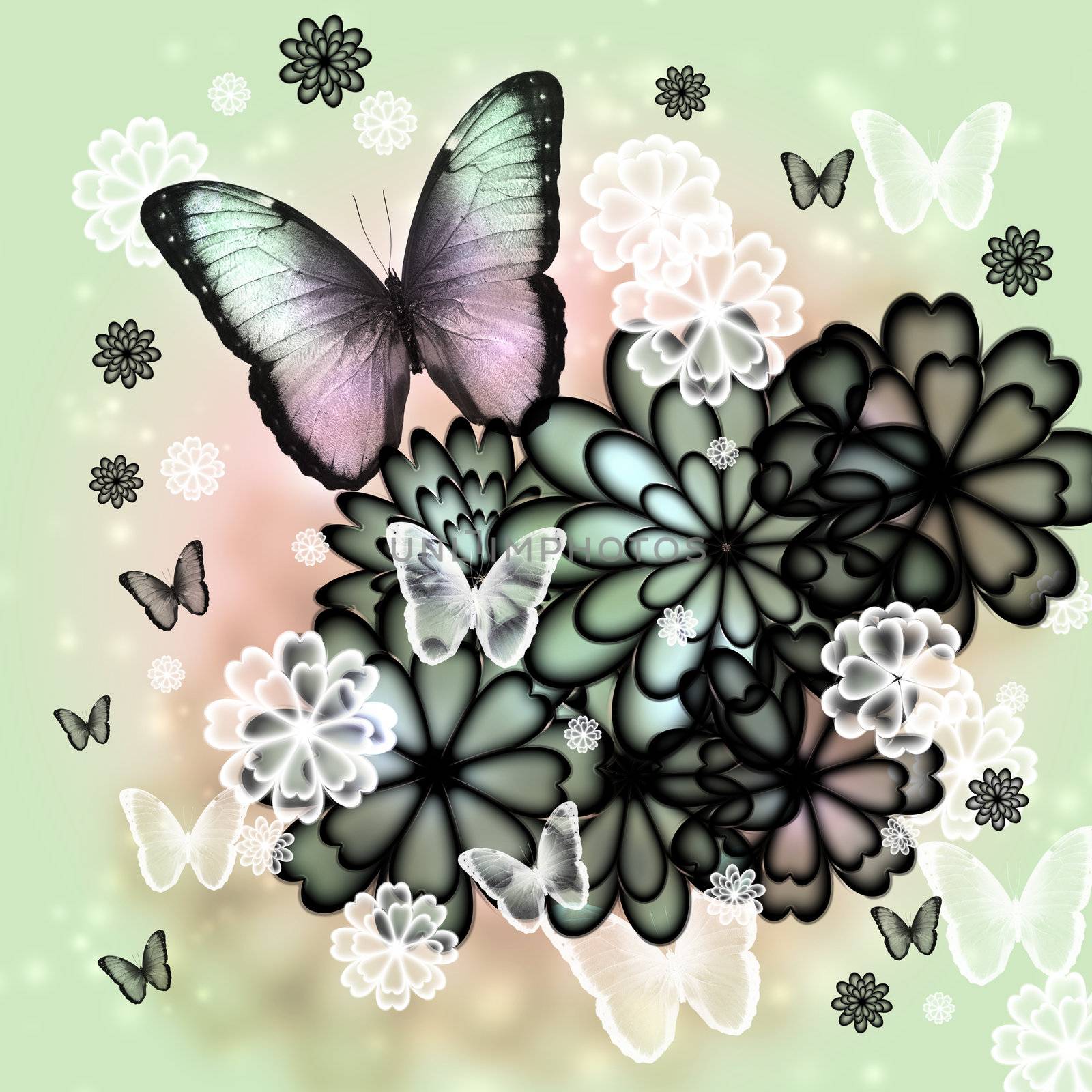 Butterflies and blossoms tinted illustration (pink and green)