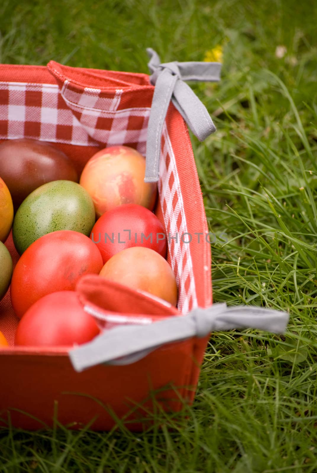 colorful easter eggs on green grass background