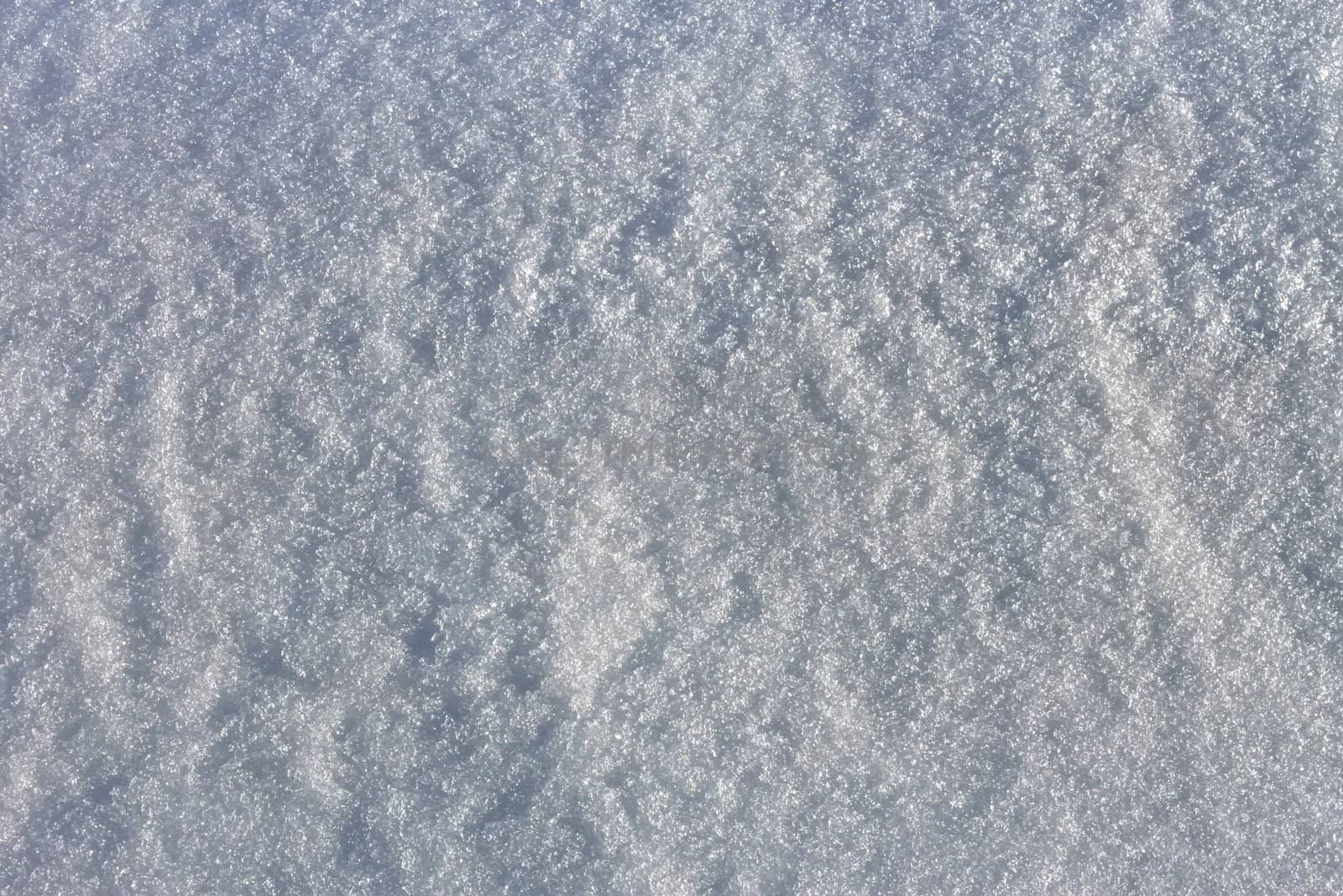 Texture of the snow with a bluish gleam