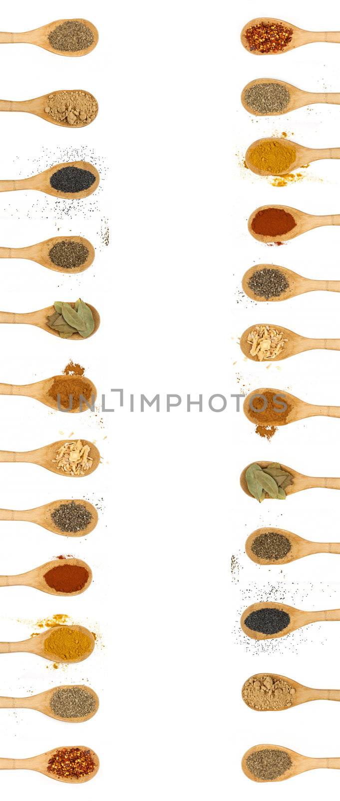 different types of spices isolated on white background