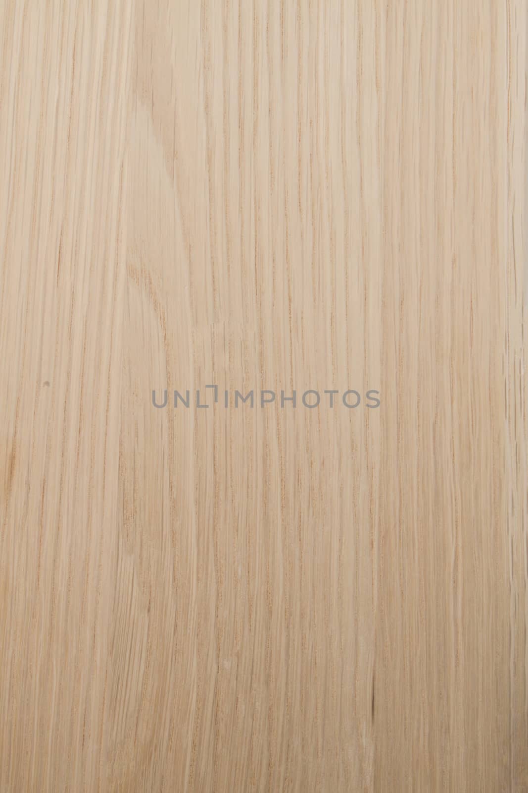 Texture of wood background closeup 