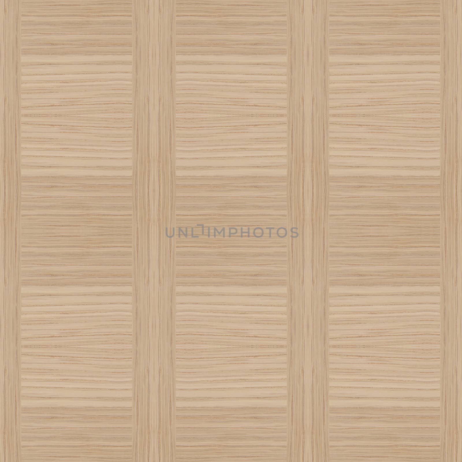 Texture of wood background closeup