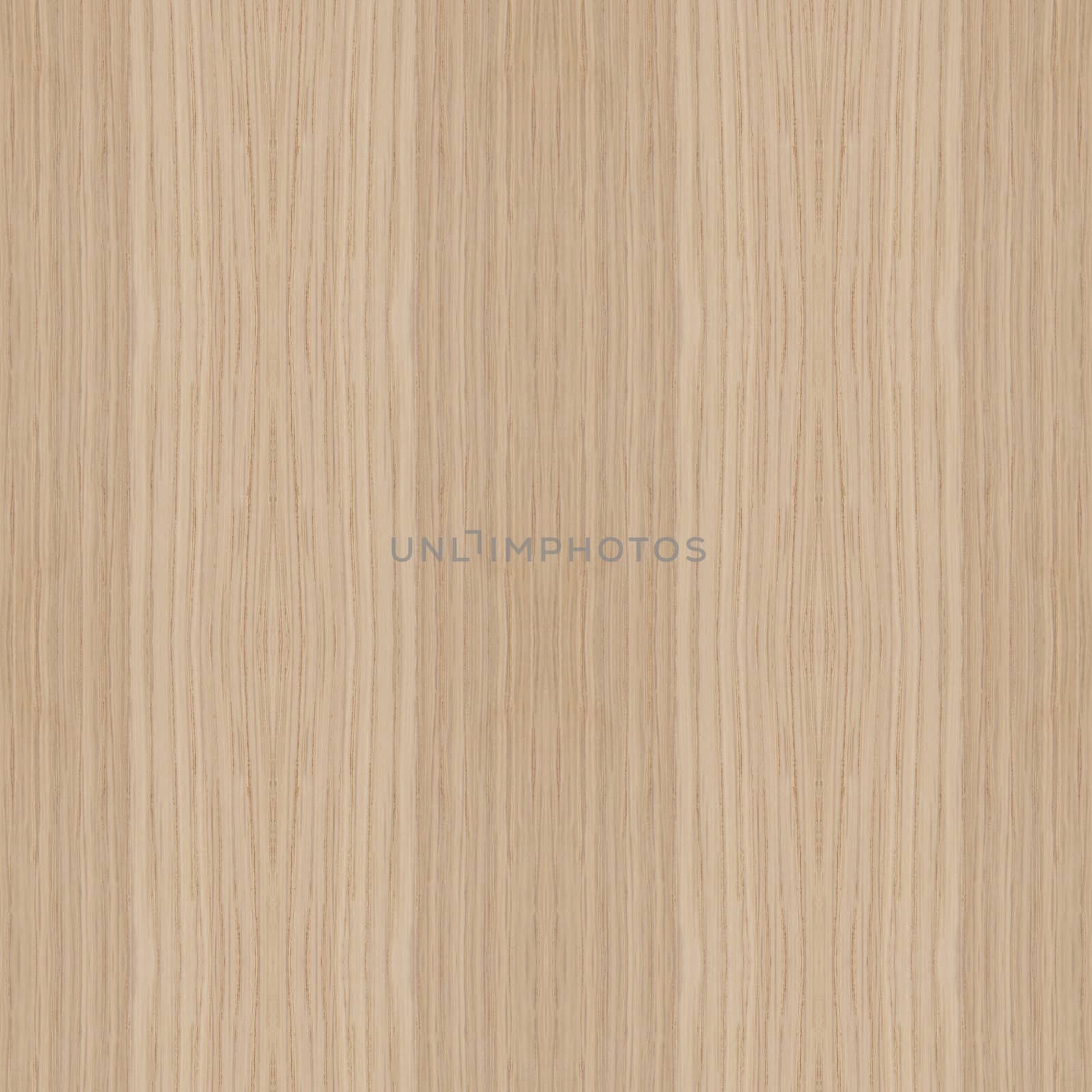 Texture of wood background closeup