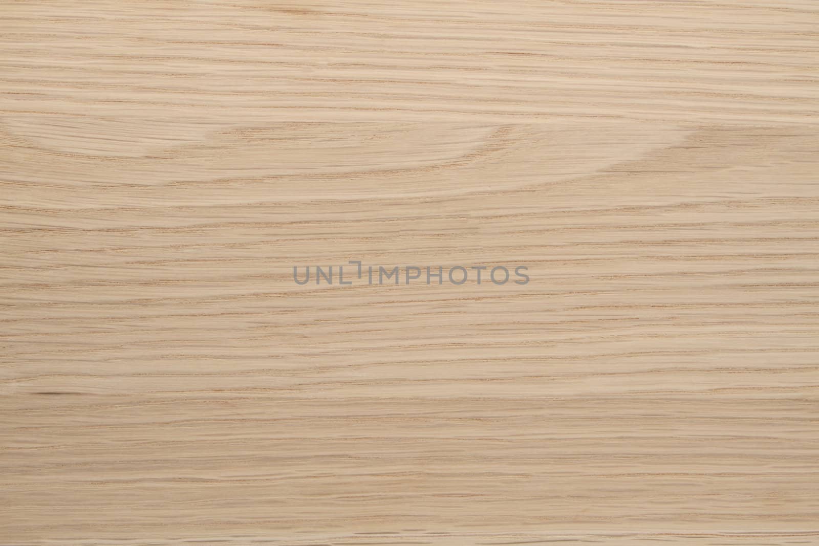 Texture of wood background closeup 