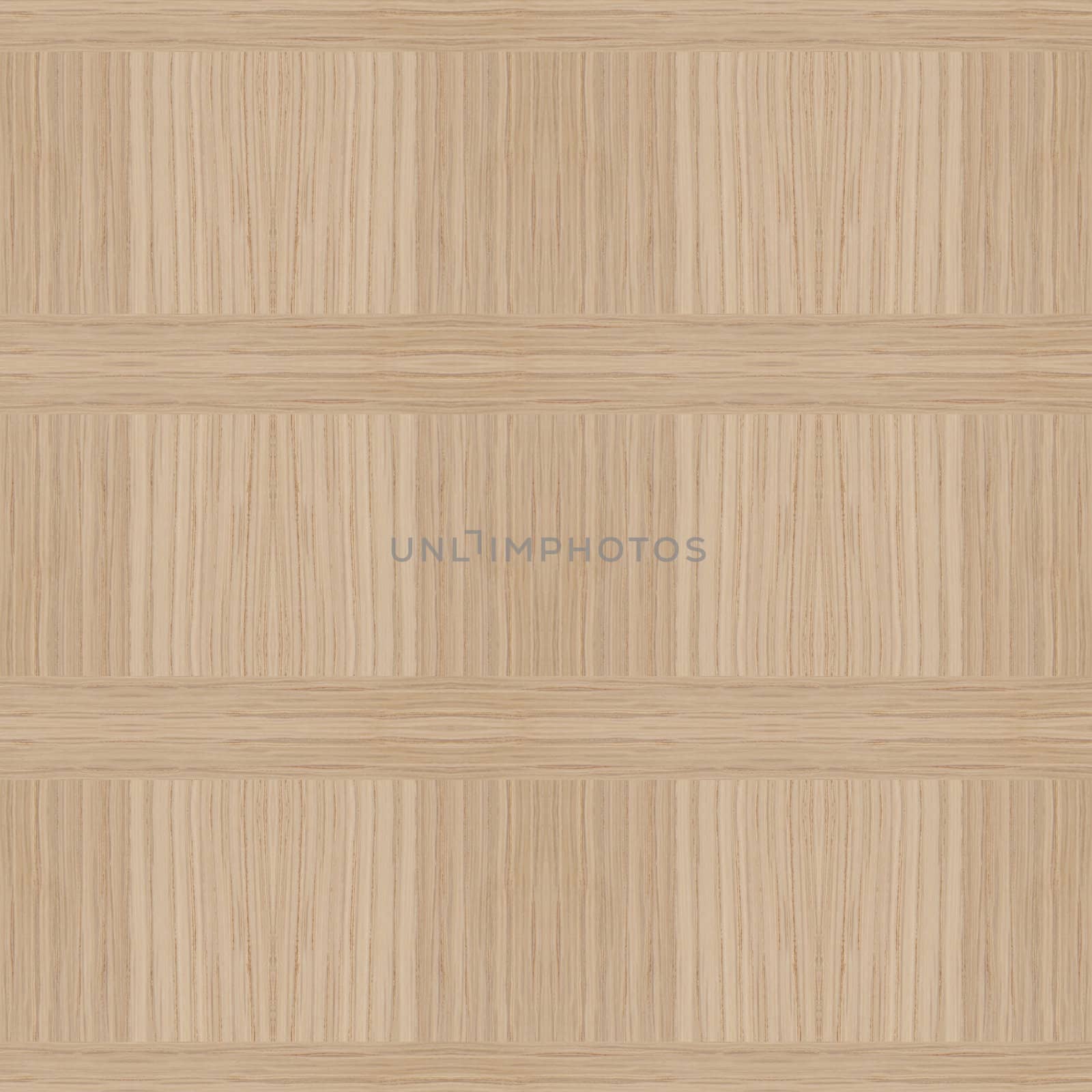 Texture of wood background closeup