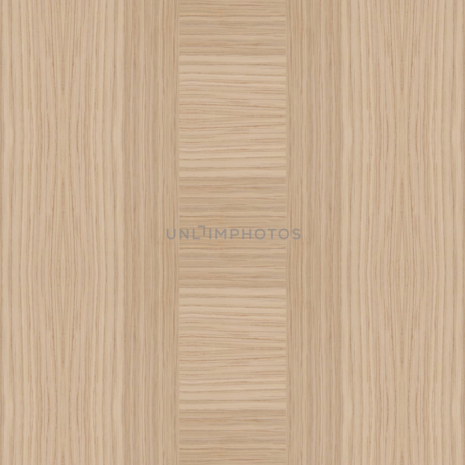 Texture of wood background closeup