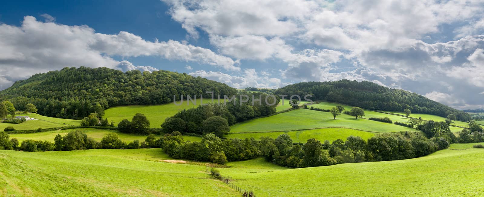 Panorama of welsh countryside by steheap
