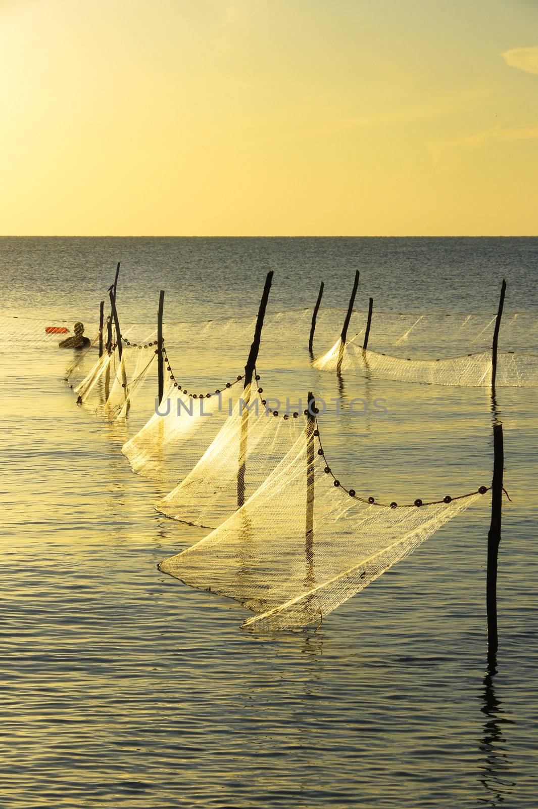 fishing net at Gulf of Thailand. by Noppharat_th