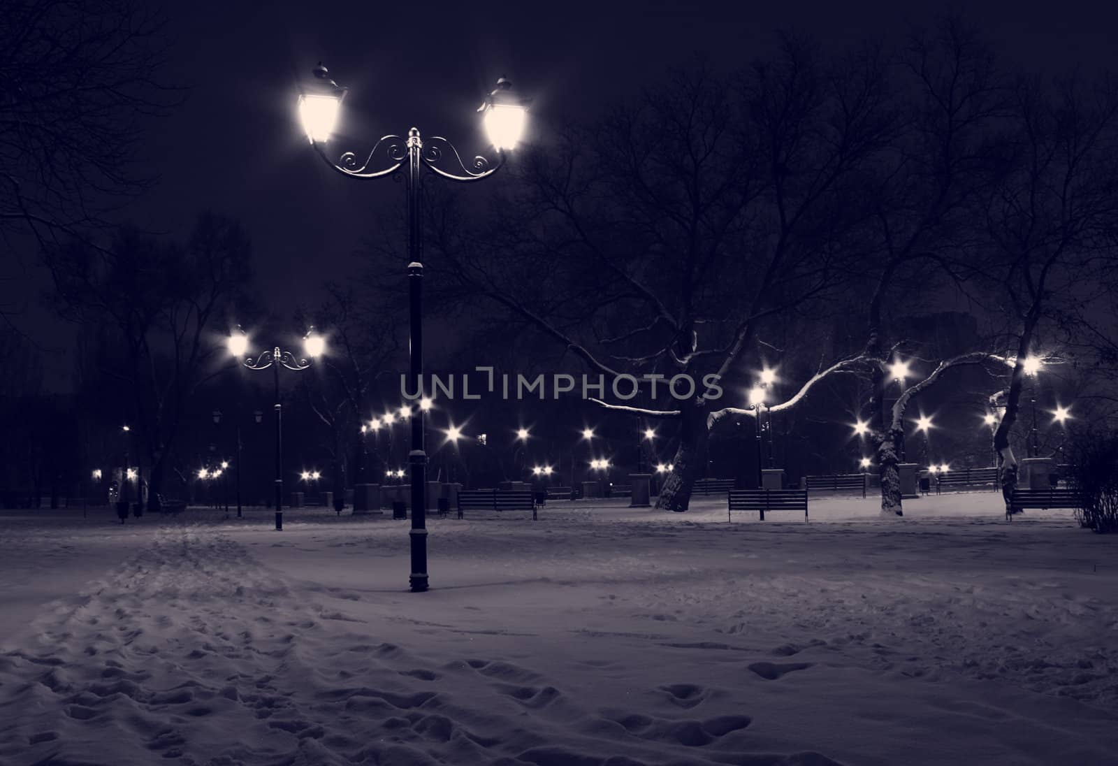 lanterns in park at winter night