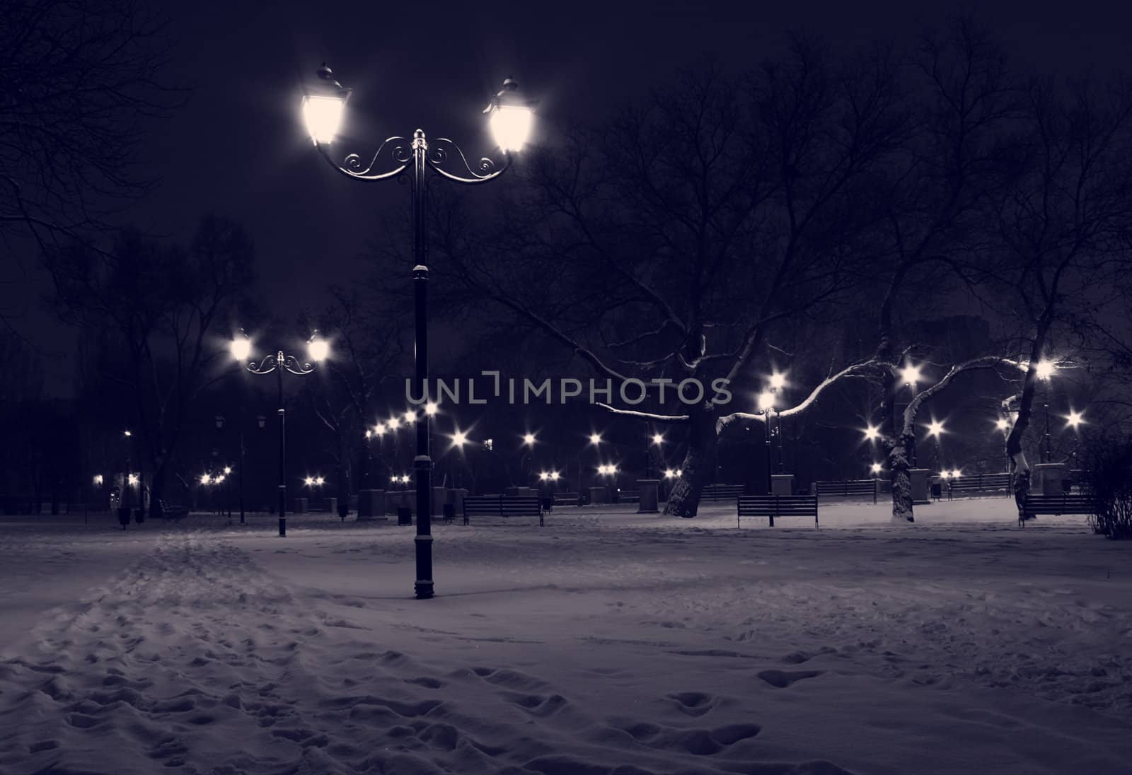 park at winter night by romantiche