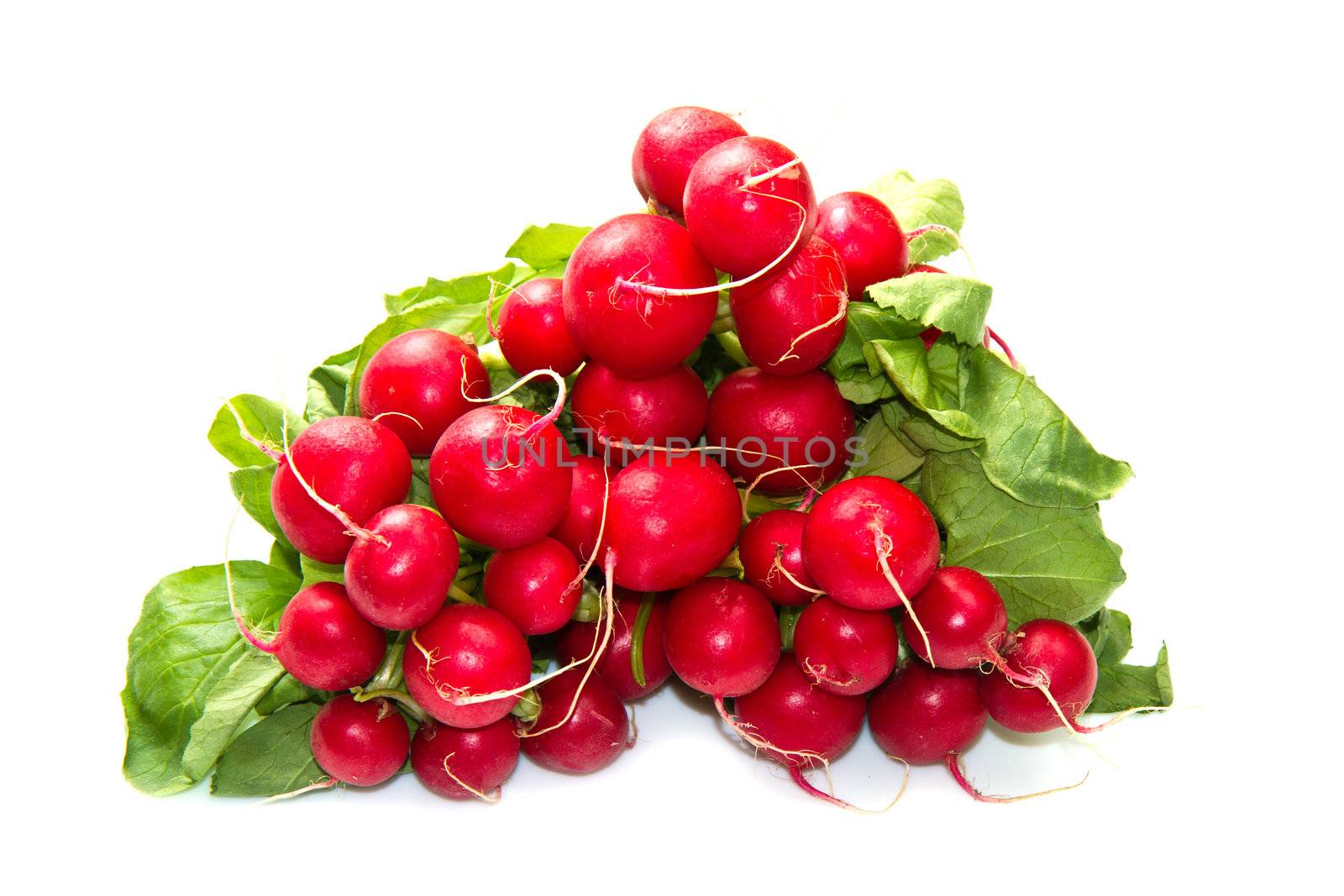 a group of red radishes on white background