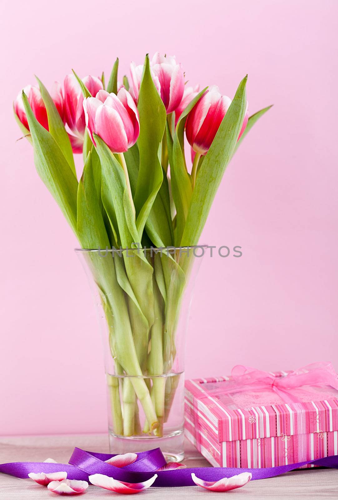 pink and white tulips present ribbon easter birthday symbol festive
