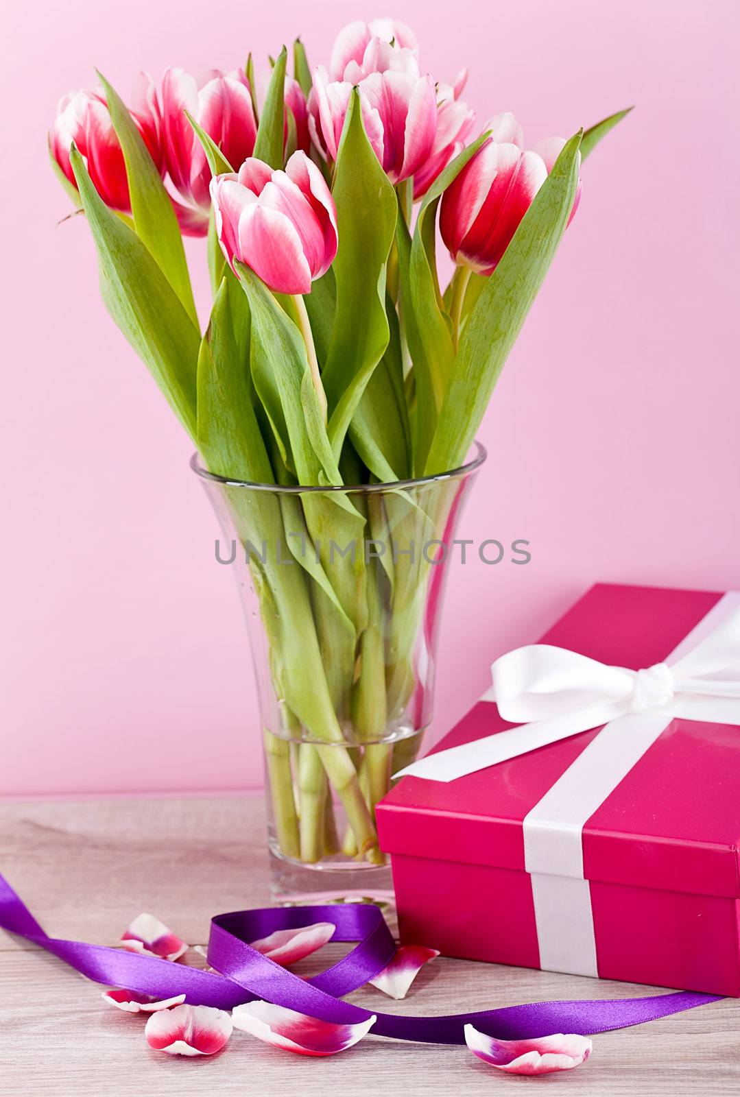 pink and white tulips present ribbon easter birthday symbol festive