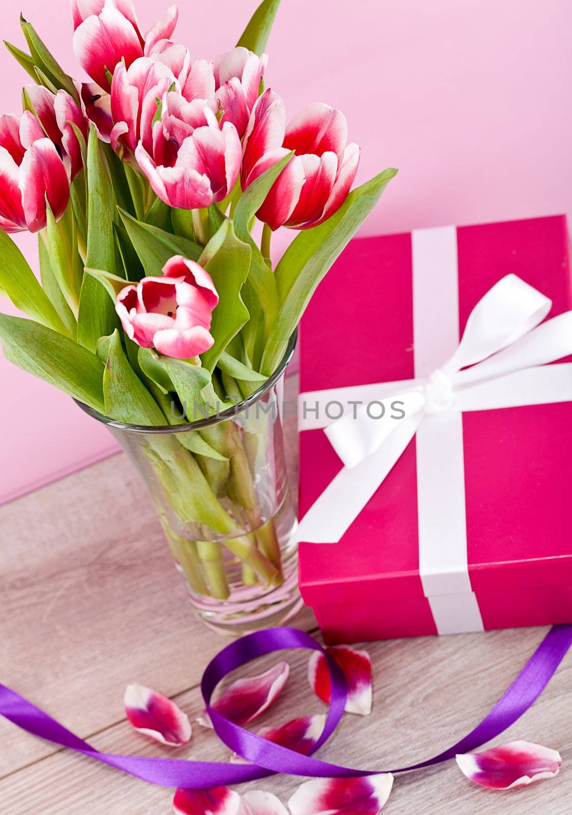 pink and white tulips present ribbon easter birthday symbol festive