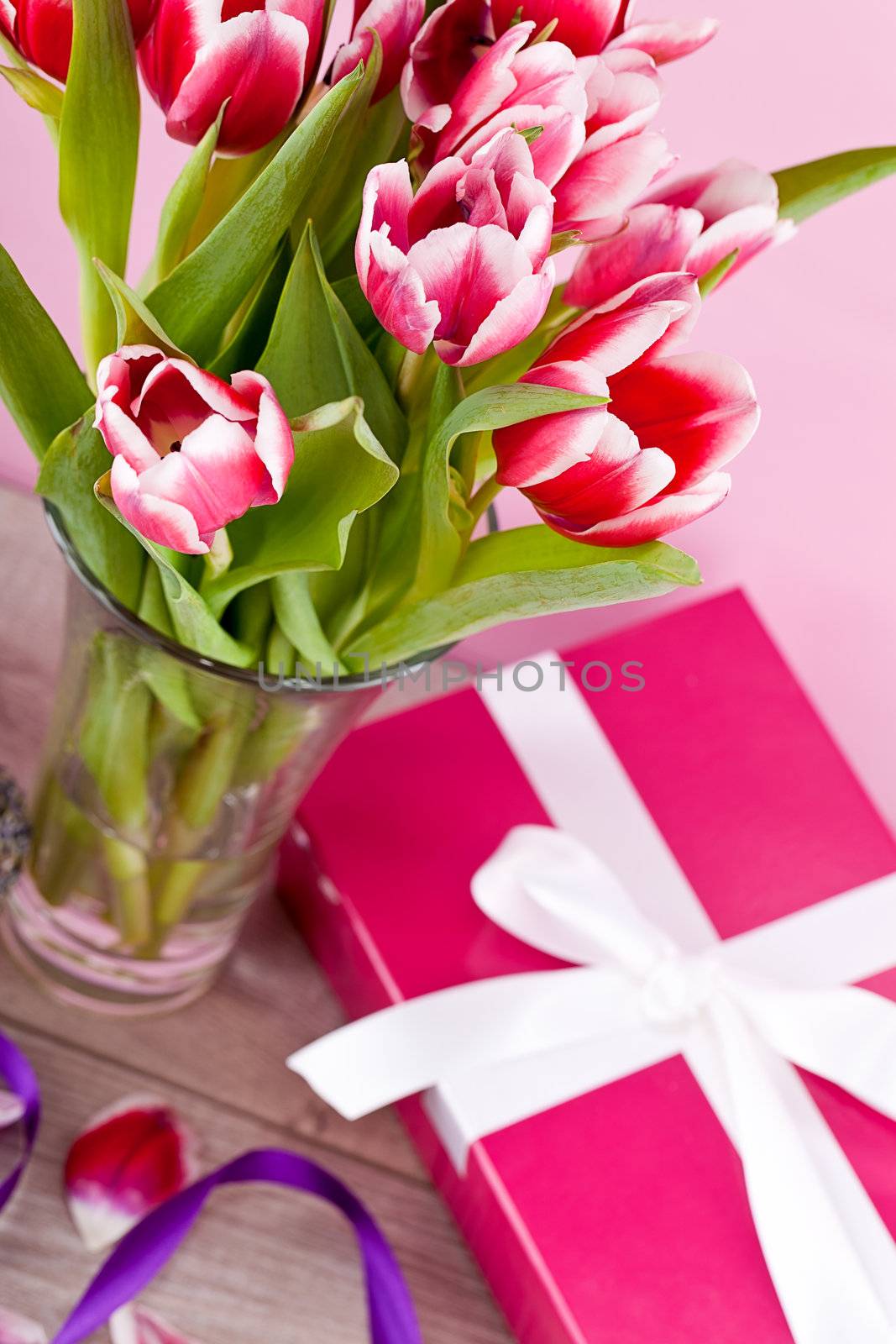 pink and white tulips present ribbon easter birthday symbol festive