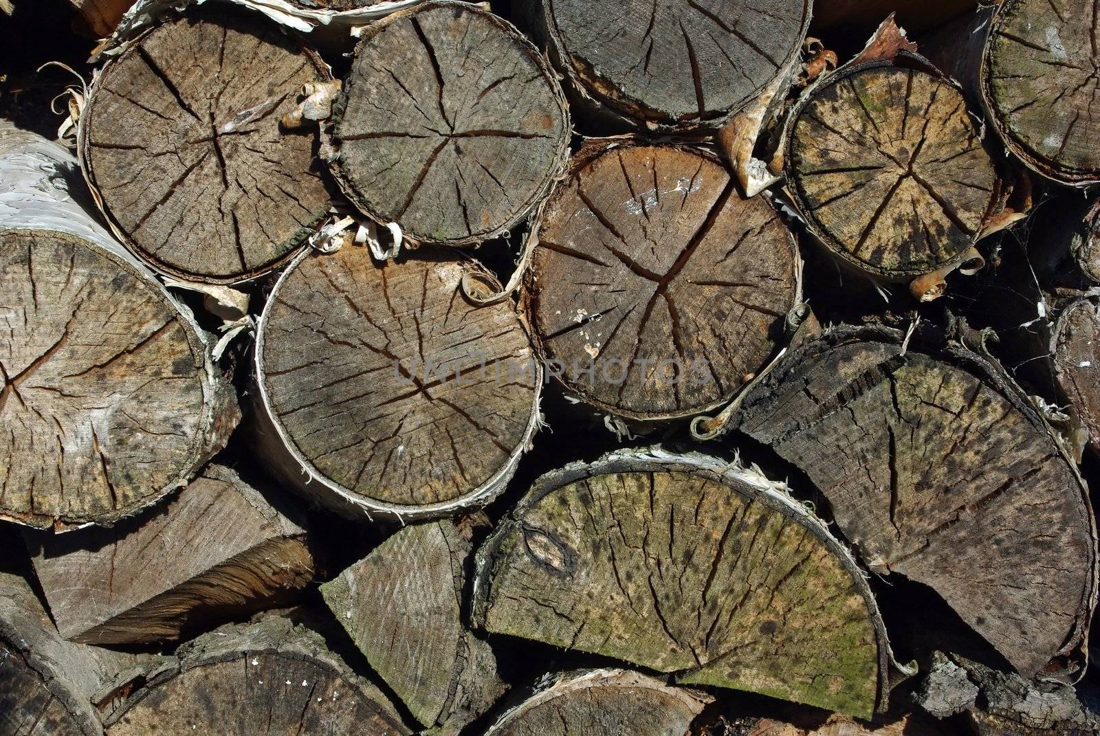 Pile of a birch firewood by Vitamin