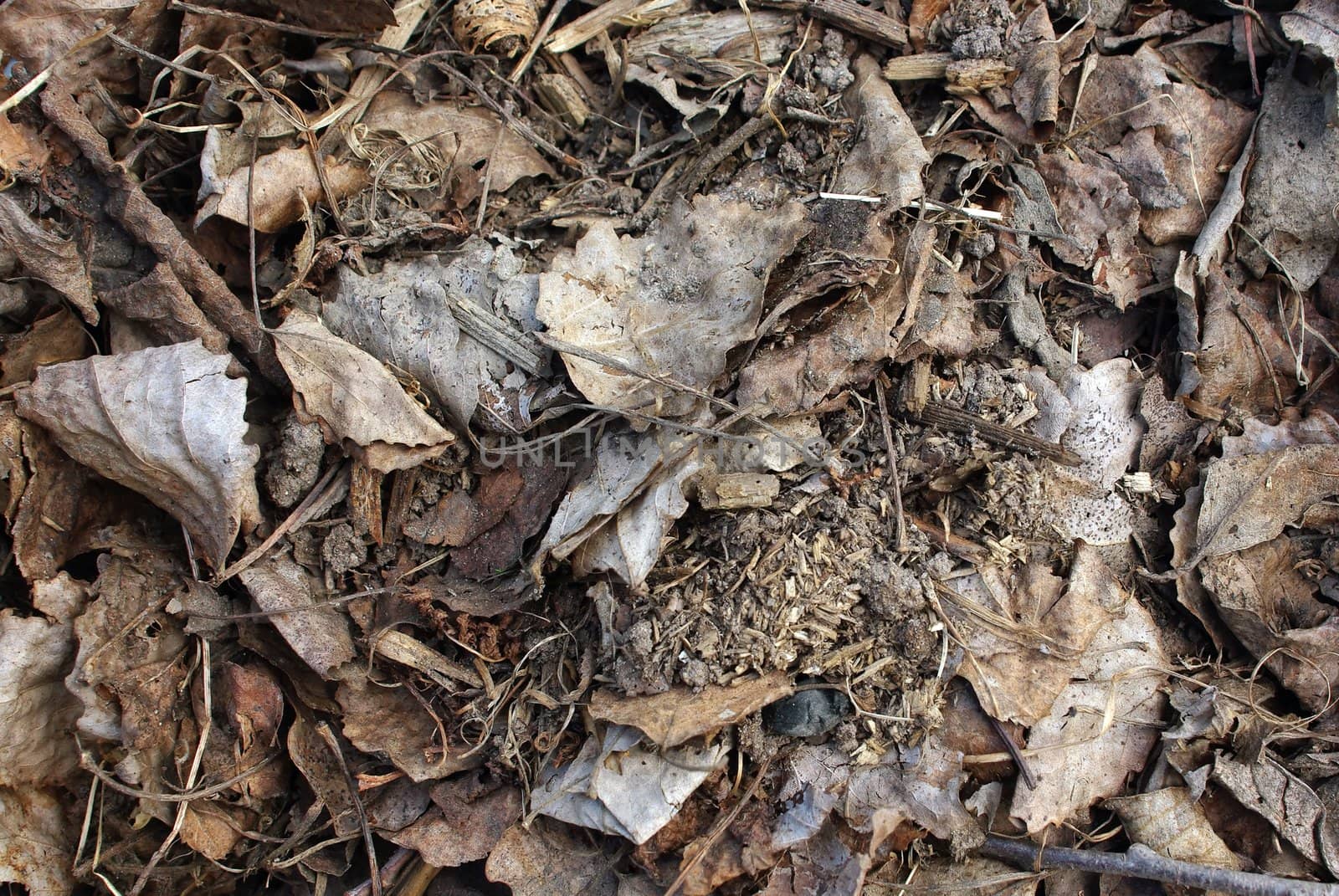 Pile of grey dry leaves in early spring by Vitamin
