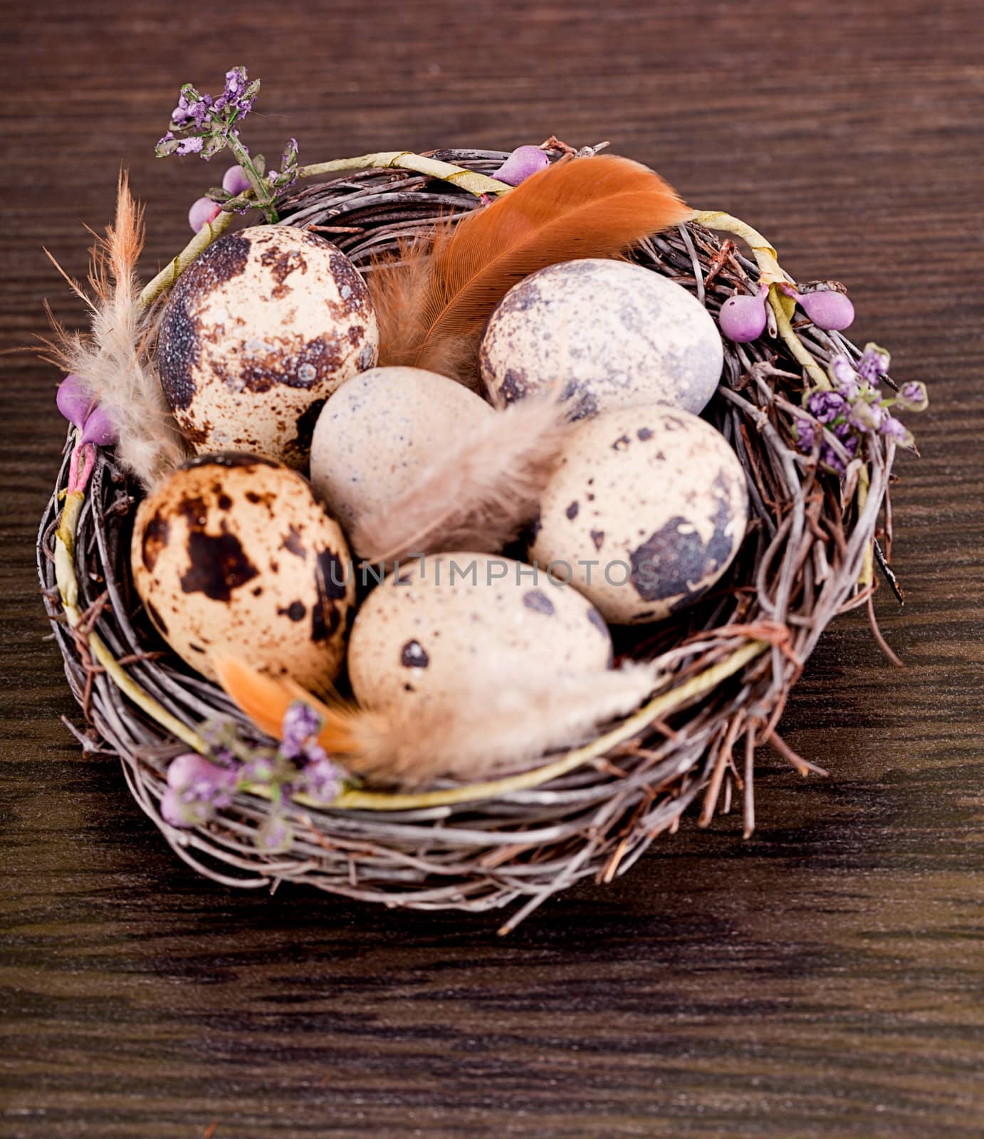 easter decoration with quail eggs on wooden background