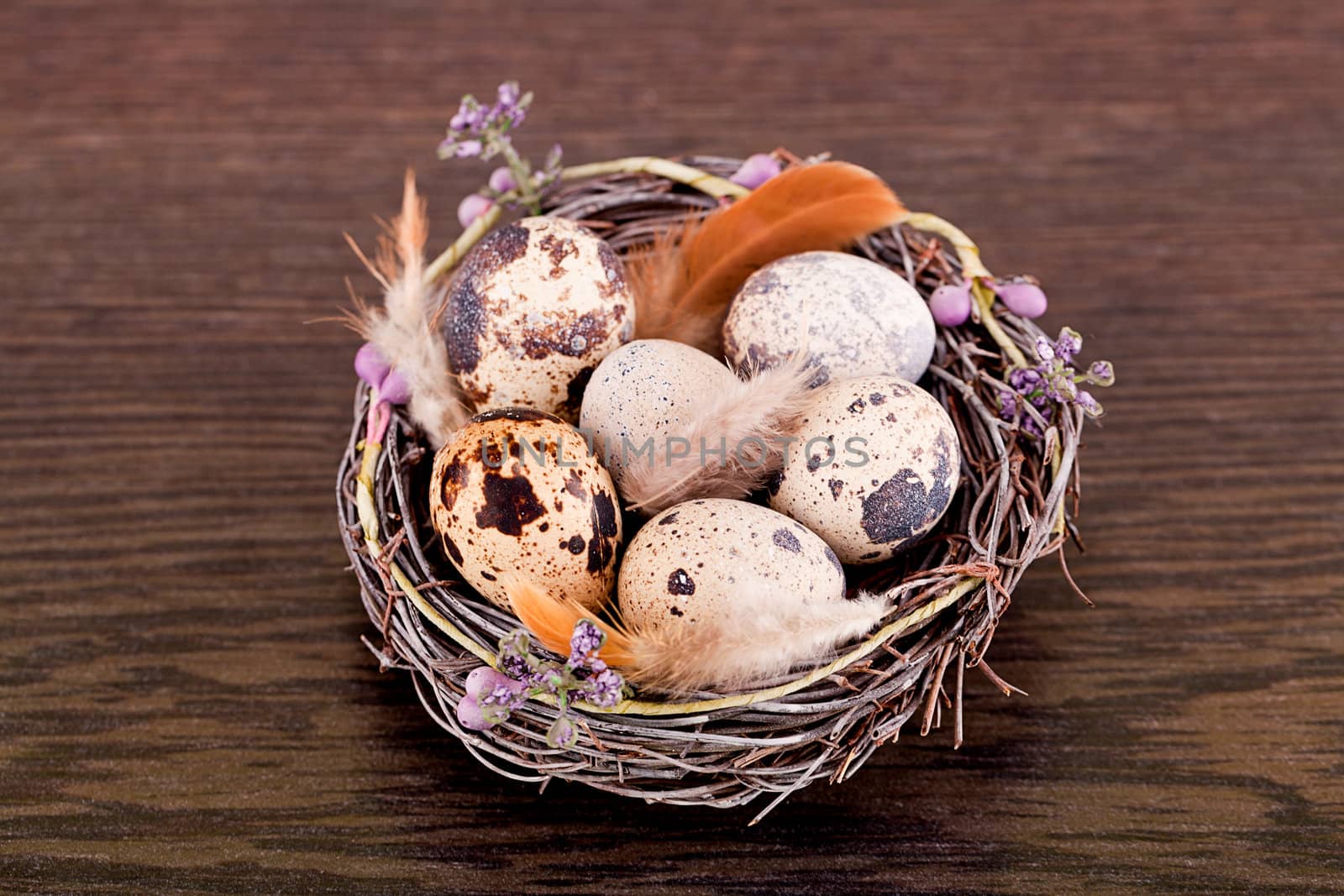 easter decoration with quail eggs on wooden background