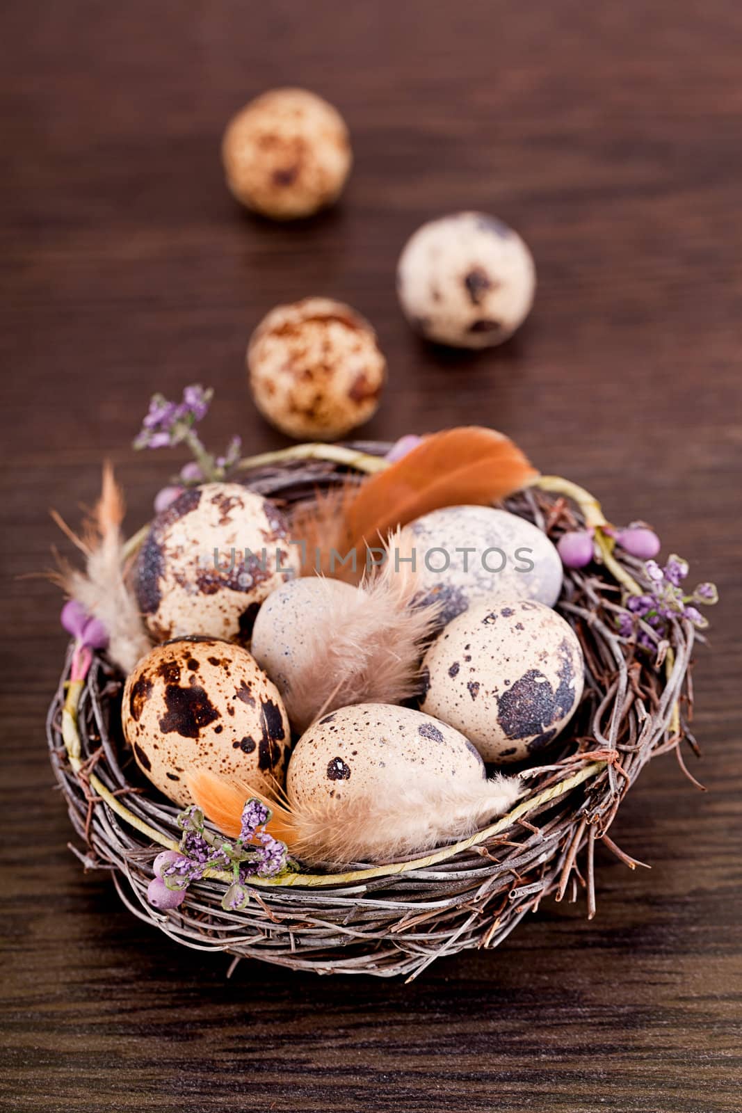 easter decoration with quail eggs on wooden background