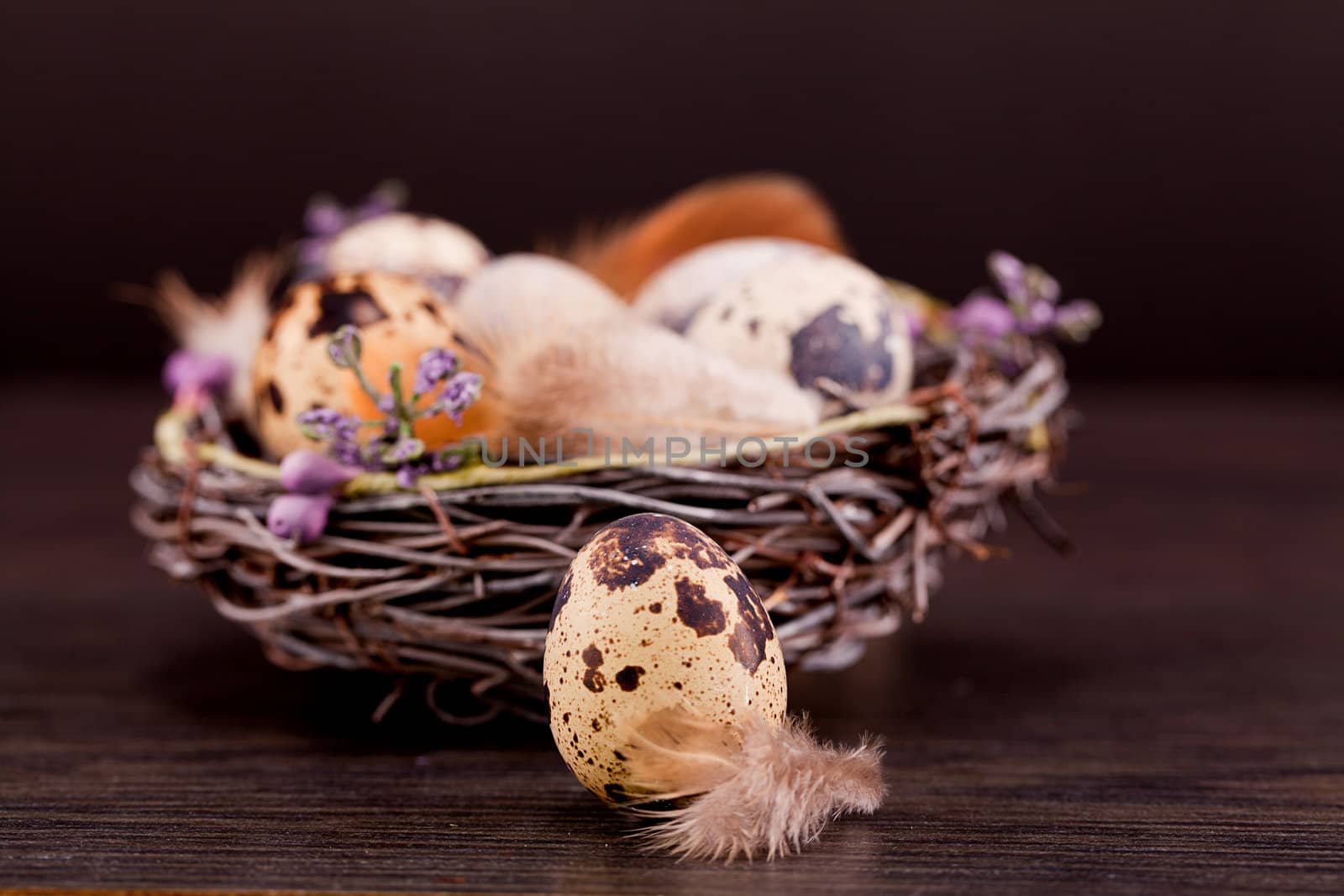 easter decoration with quail eggs on wooden background