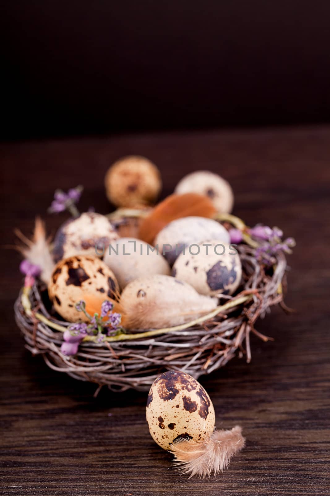 easter decoration with quail eggs on wooden background