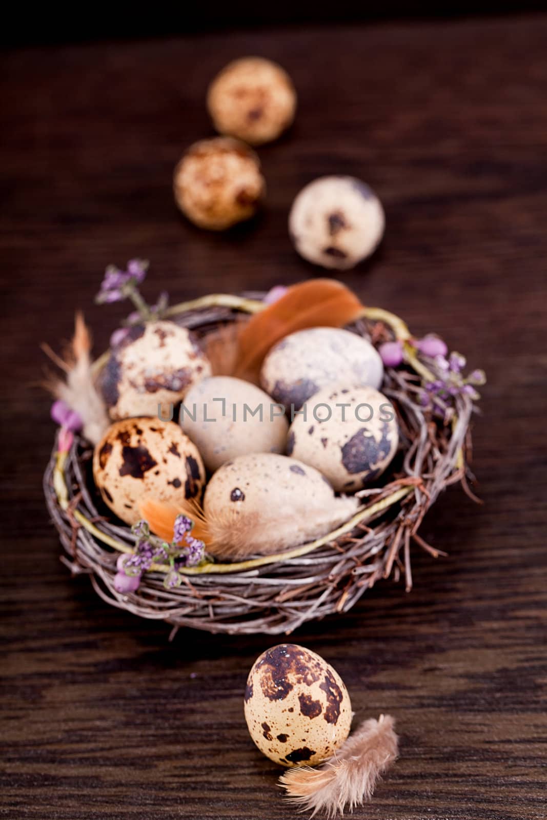 easter decoration with quail eggs on wooden background