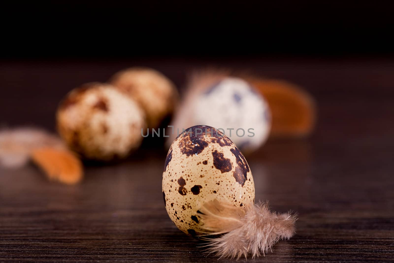 easter decoration with quail eggs on wooden background