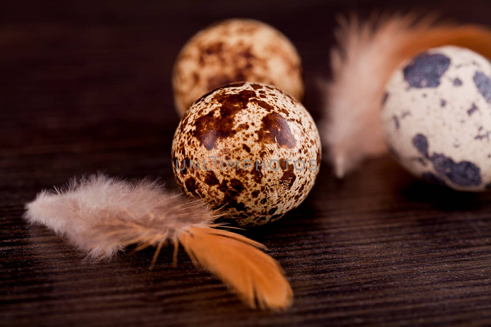 easter decoration with quail eggs on wooden background
