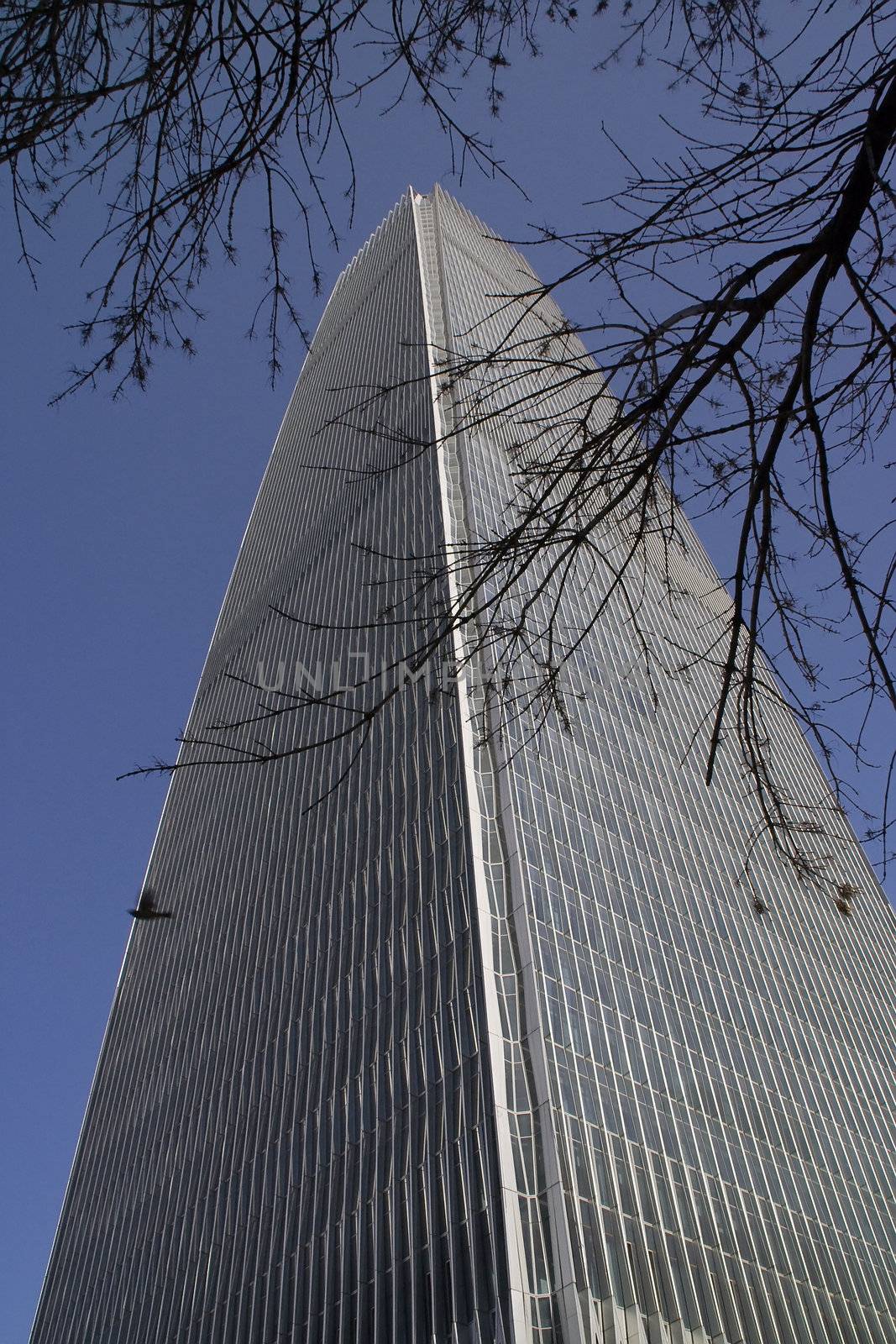 Largest Building Skyscraper Guomao Central Business District Beijing China