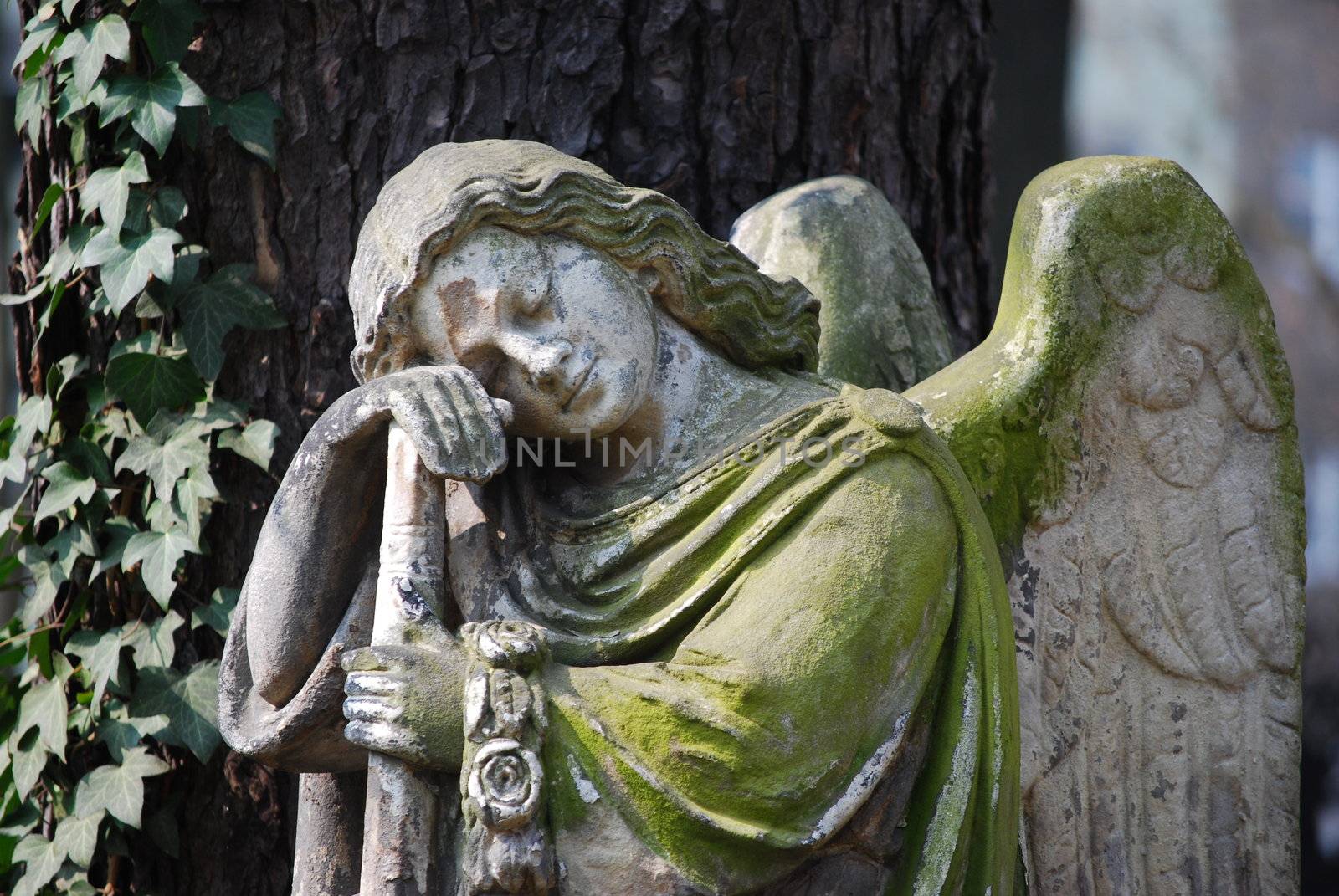 angel