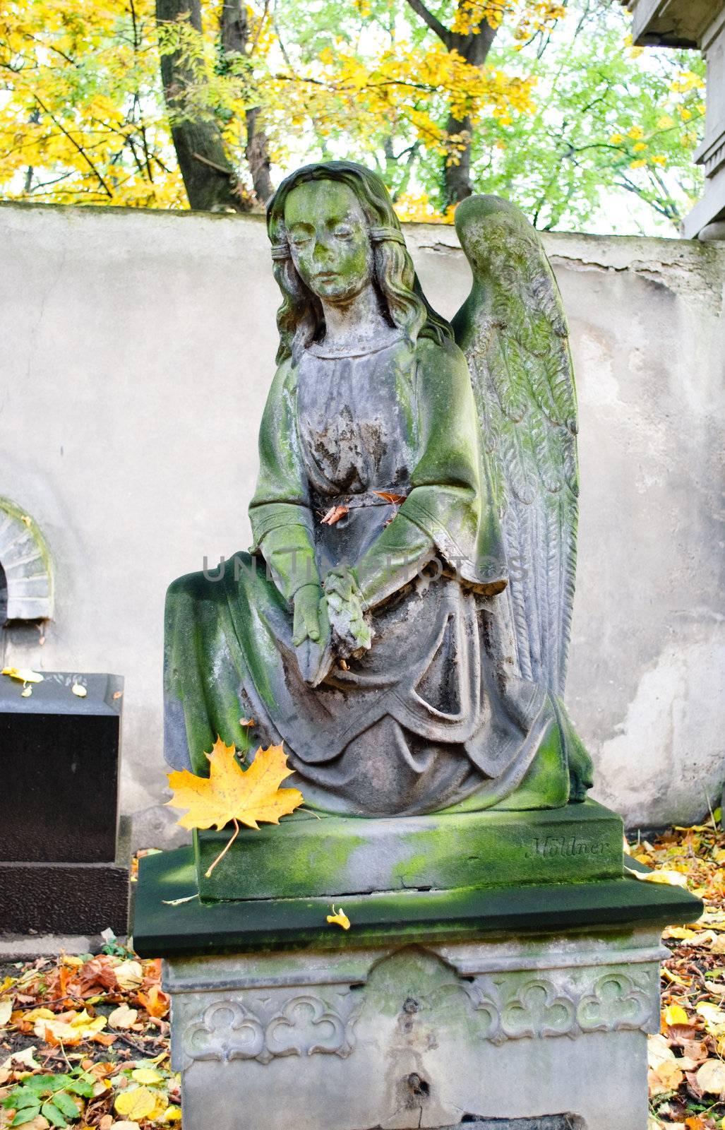 angel