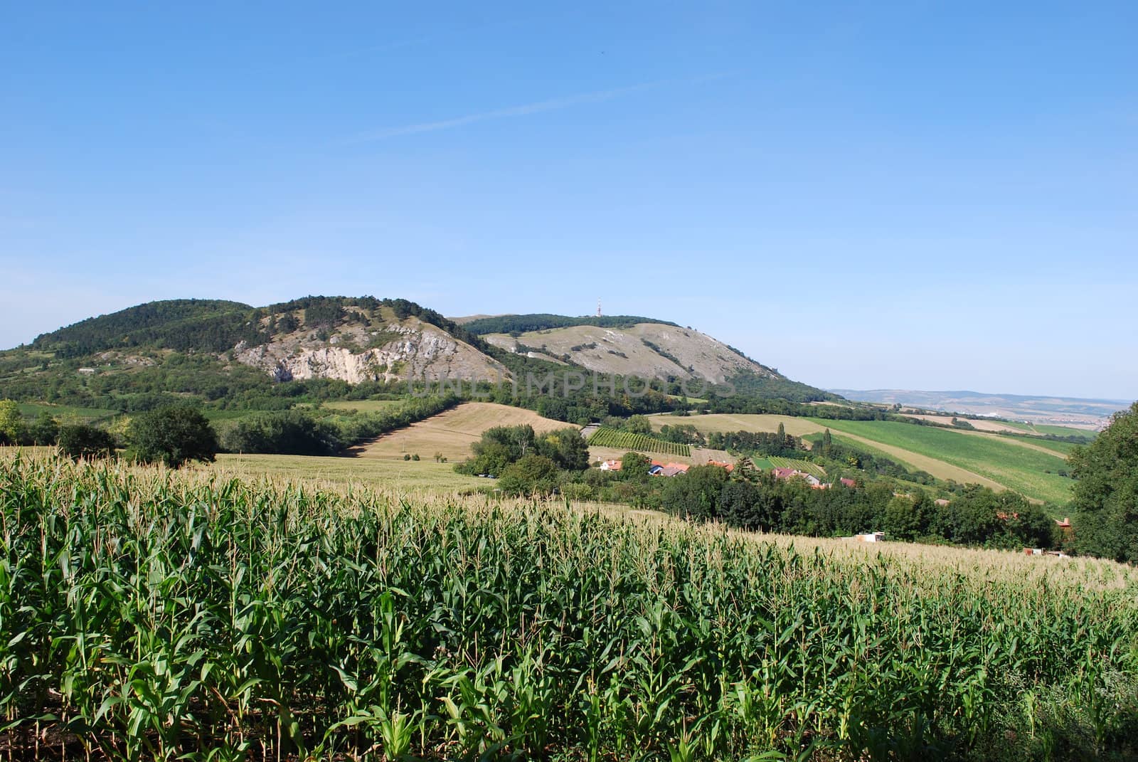 Palava, Czech republic