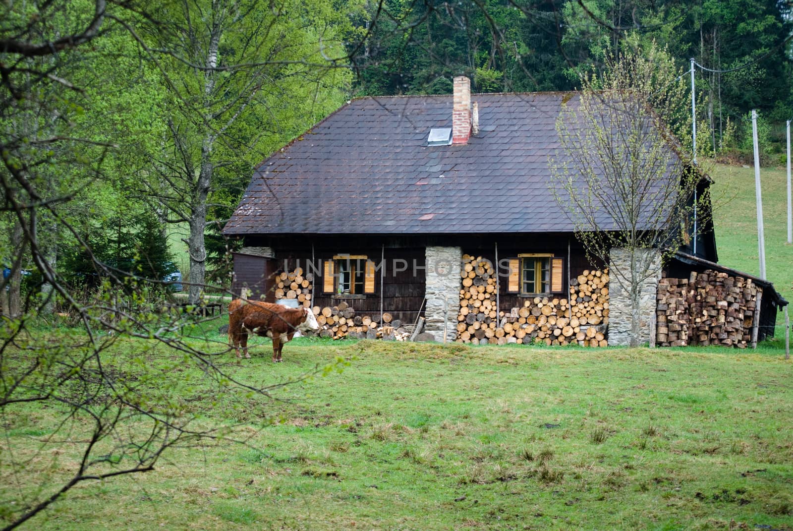 cottage