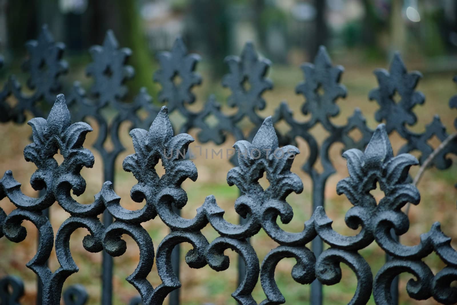 iron fence