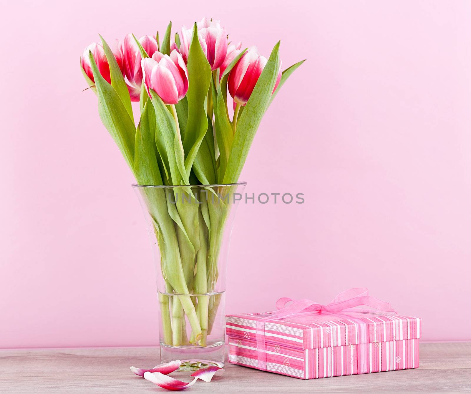 pink and white tulips present ribbon easter birthday symbol festive