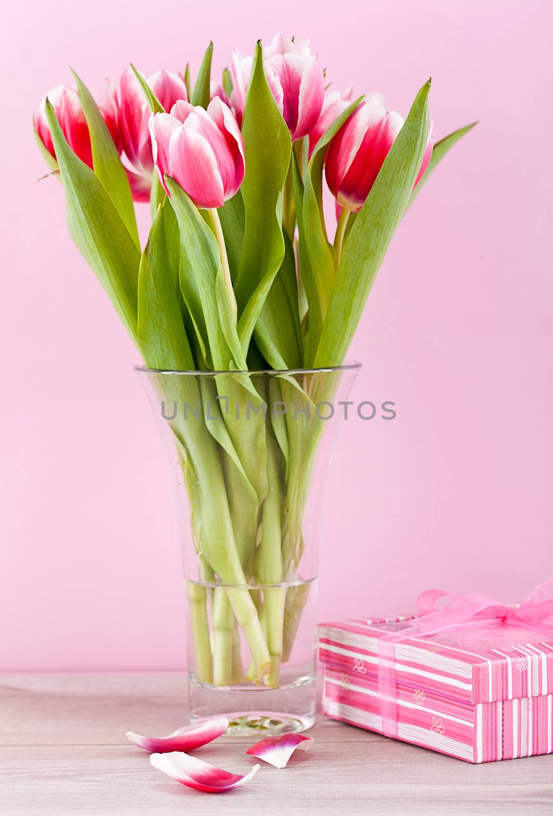 pink and white tulips present ribbon easter birthday symbol festive