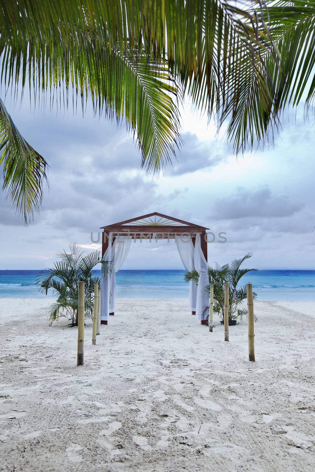 A beach wedding archway on a tropical resort.