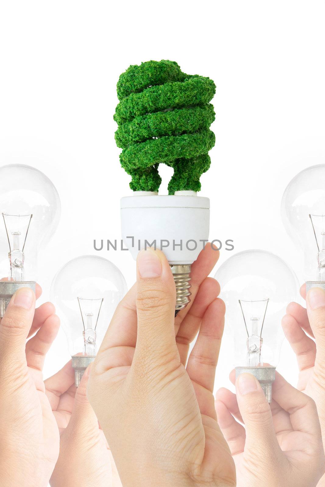 hand holding eco bulb,energy concept