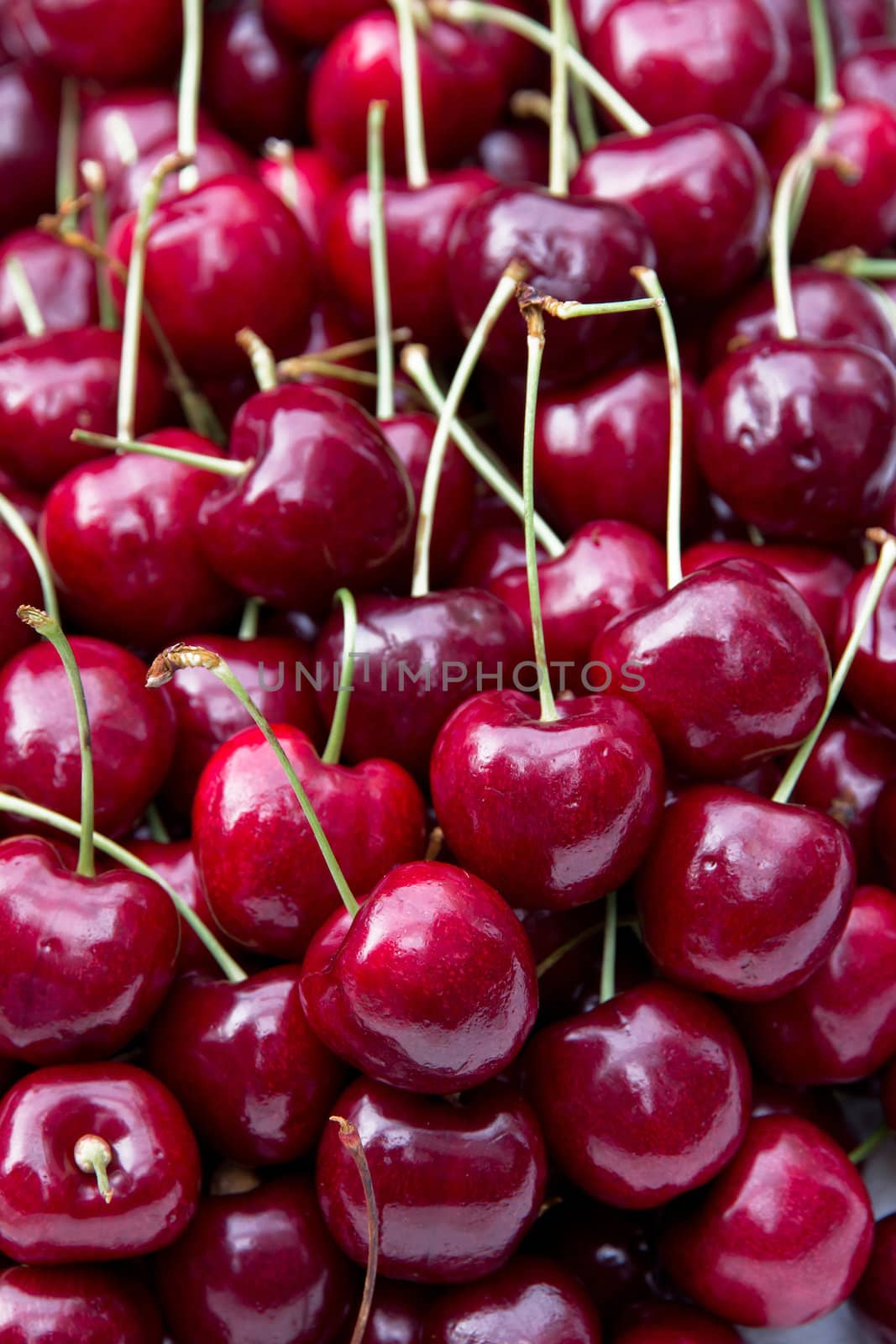 fresh cherries by ponsulak