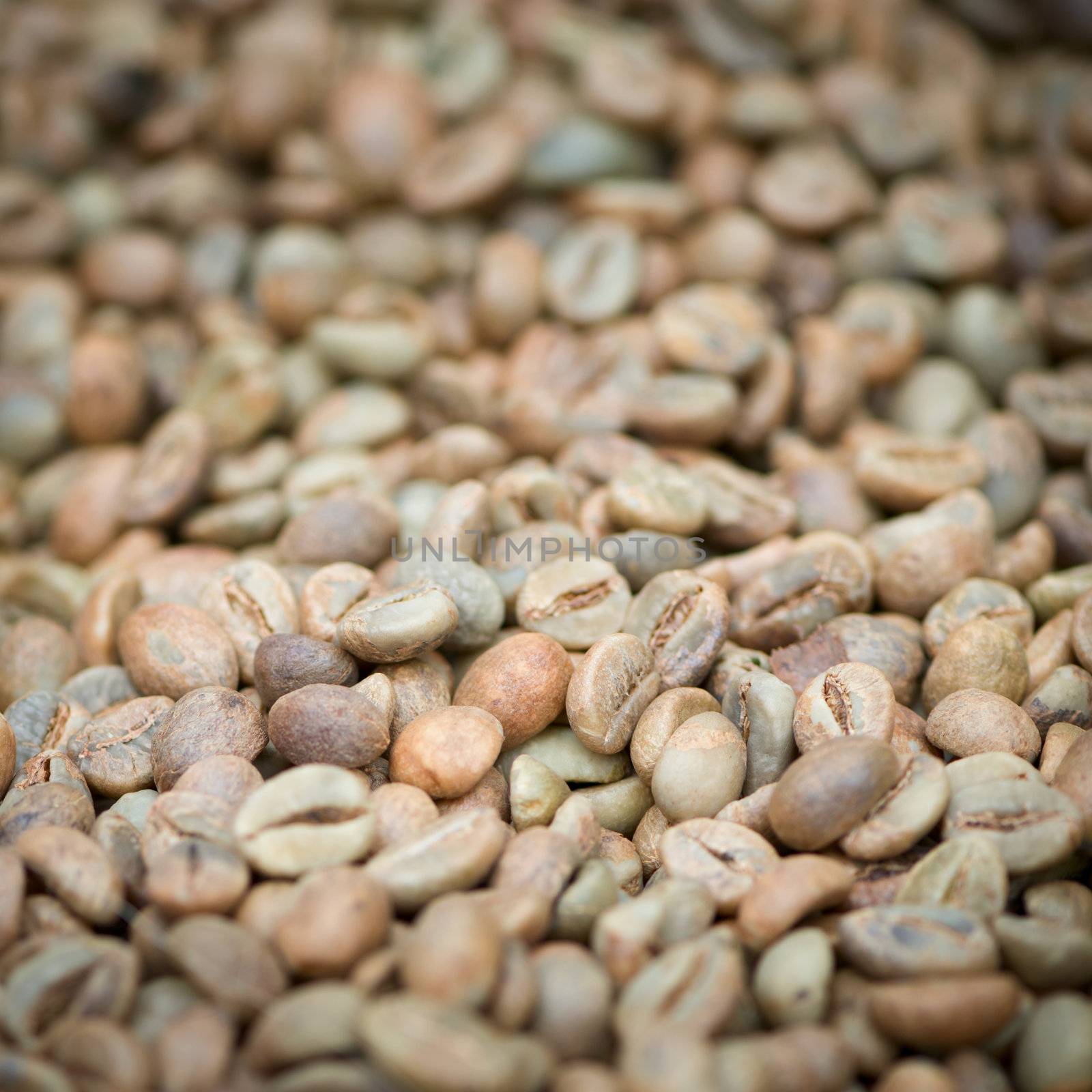 Green unroasted coffee beans heap with shallow depth of field