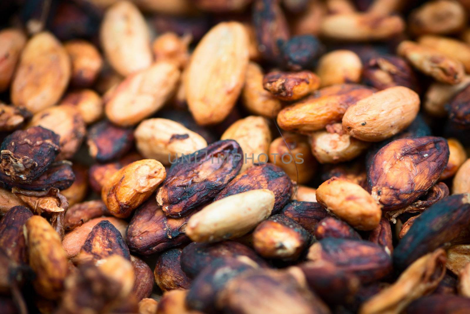 Pile of raw unpeeled cacao beans with shallow depth of field