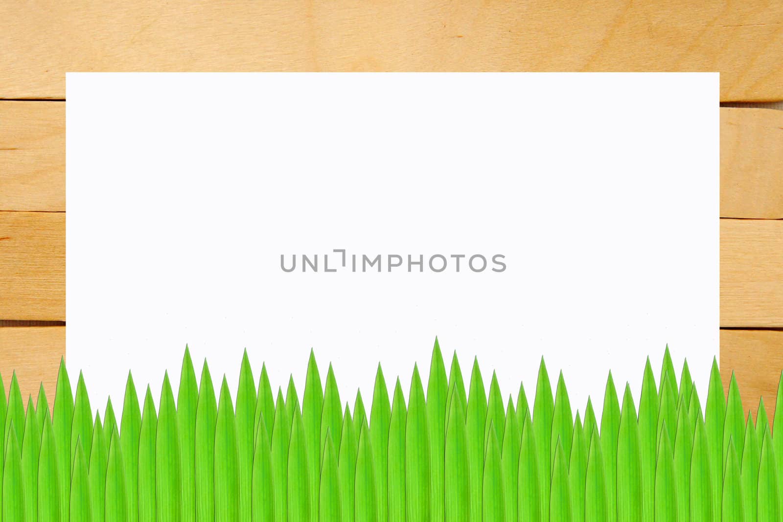 Green leaves on isolate white background. by Noppharat_th