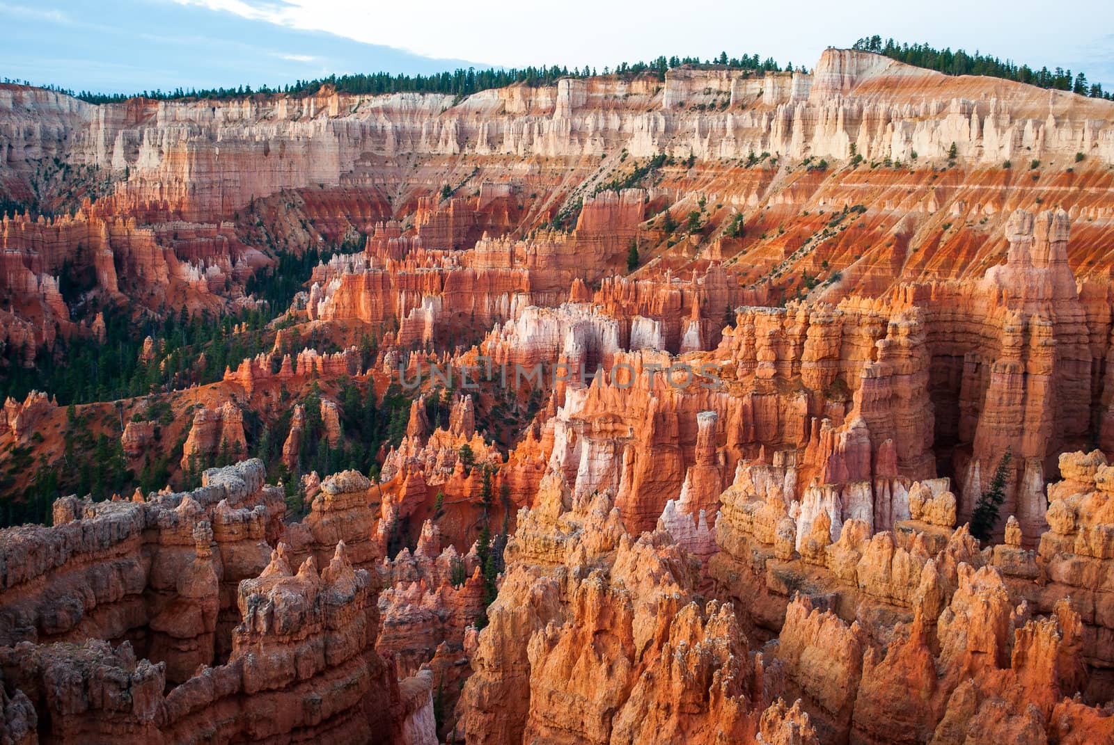 Bryce Canyon National Park at Sunrise by oliverjw