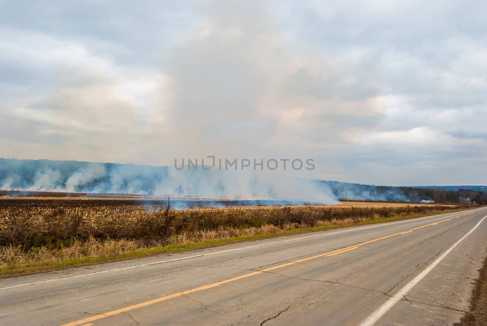 Photograph of a controlled agricultural burn set to clear a field after the crops had been harvested.