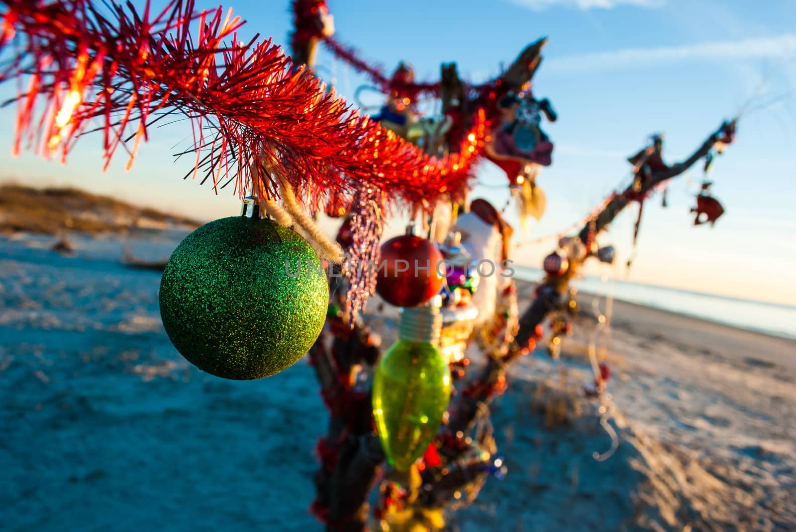 Christmas on the Beach by oliverjw